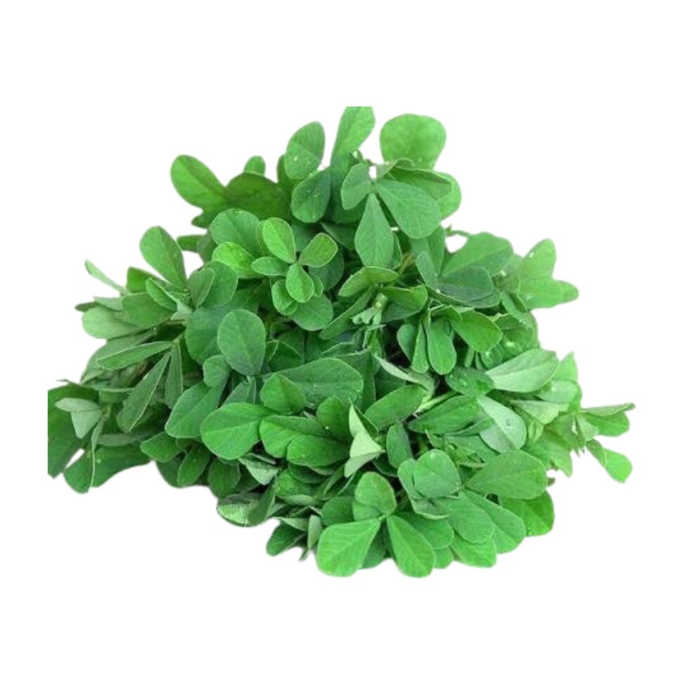 Fenugreek - Methi - 300+ Seeds