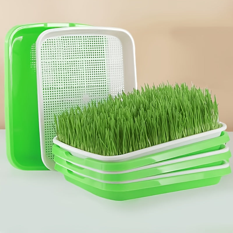Microgreens seeds Trays