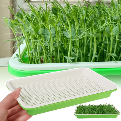 Microgreens seeds Trays