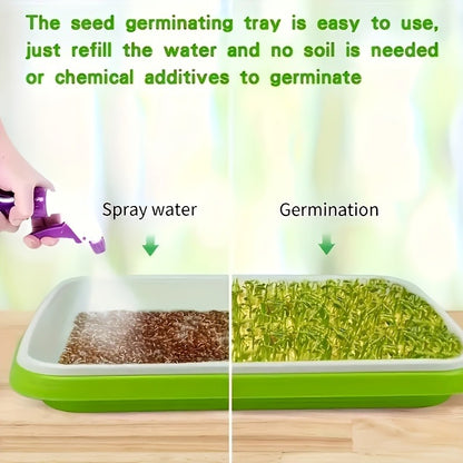 Microgreens seeds Trays