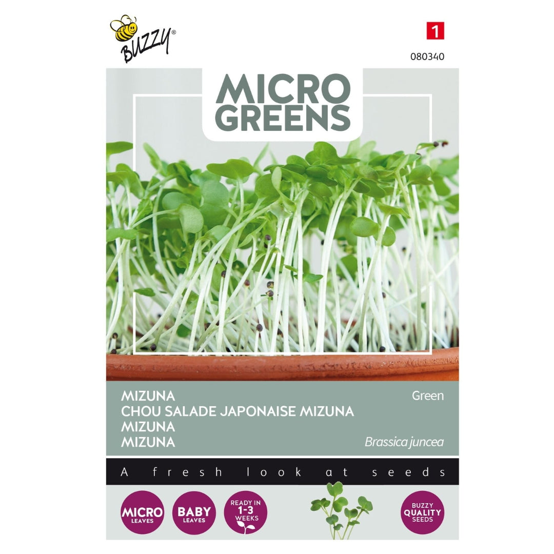 Mizuna Microgreens – Buzzy Seeds (Imported - Limited Stock)