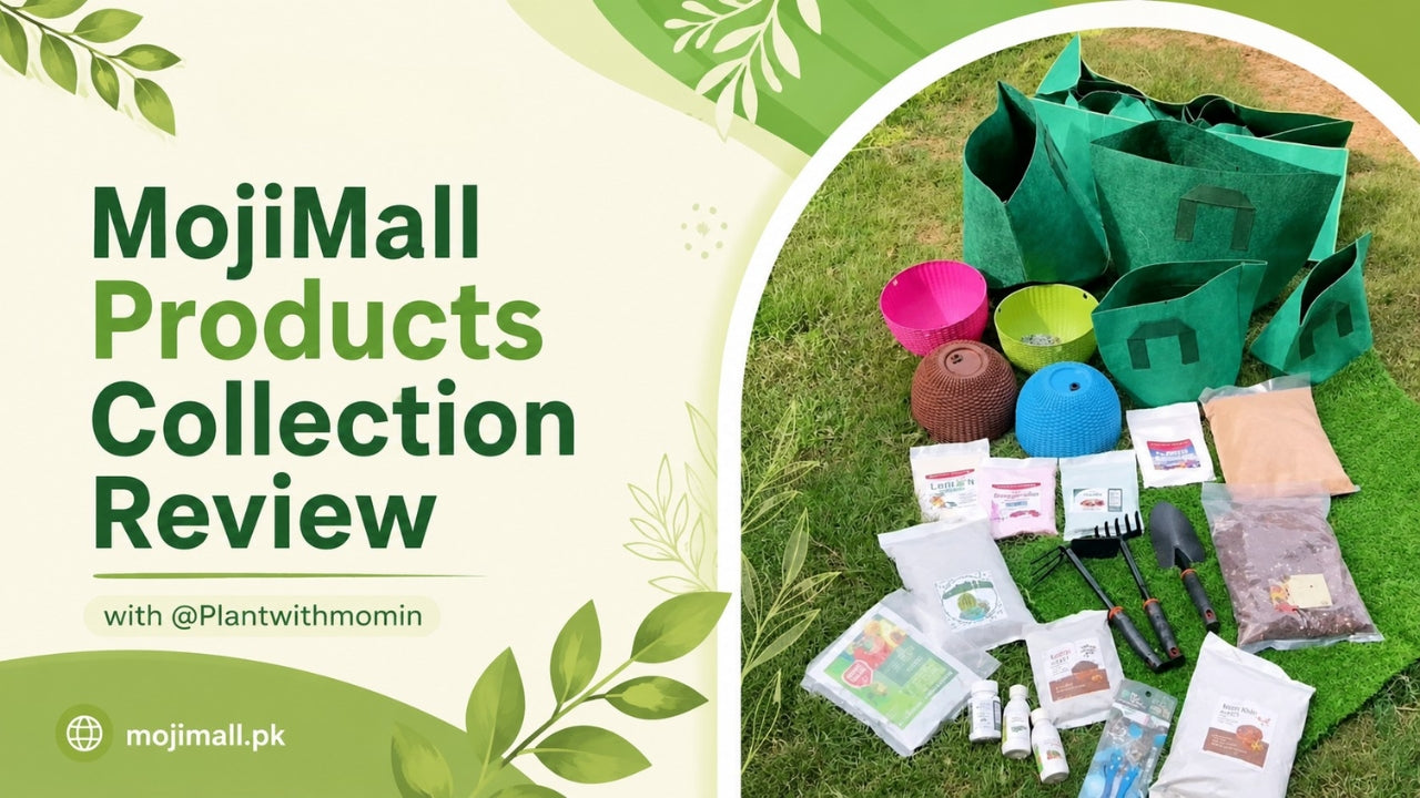 Load video: Checkout moji mall products reviews