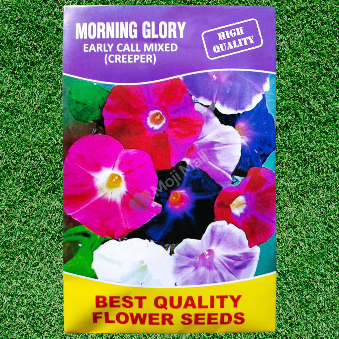 Morning Glory (Mix) Seeds