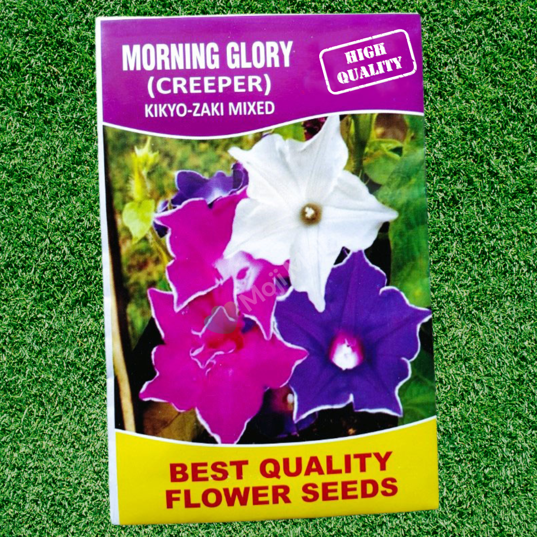 Morning glory - kikyo Zaki Mixed - Seeds