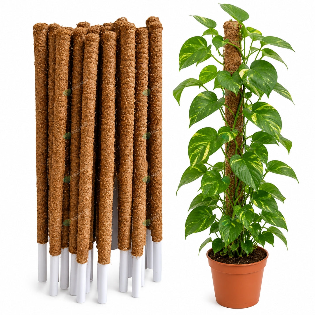 Moss stick – Coco Pole Plant support