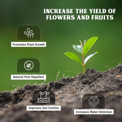 Mustard Cake (Crushed) – Organic Fertilizer