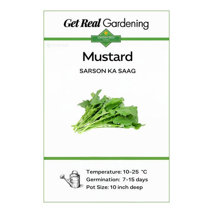 Mustard Leaves (سرسوں کا ساگ) – 1000+ Seeds