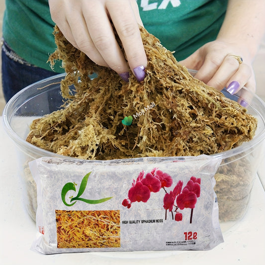 A person's hands holding a clump of brown sphagnum moss over a clear plastic tub, with a package of sphagnum moss in front. The package is white with a green logo, a picture of red flowers, and text reading 'HIGH QUALITY SPHAGNUM MESS' and '12.