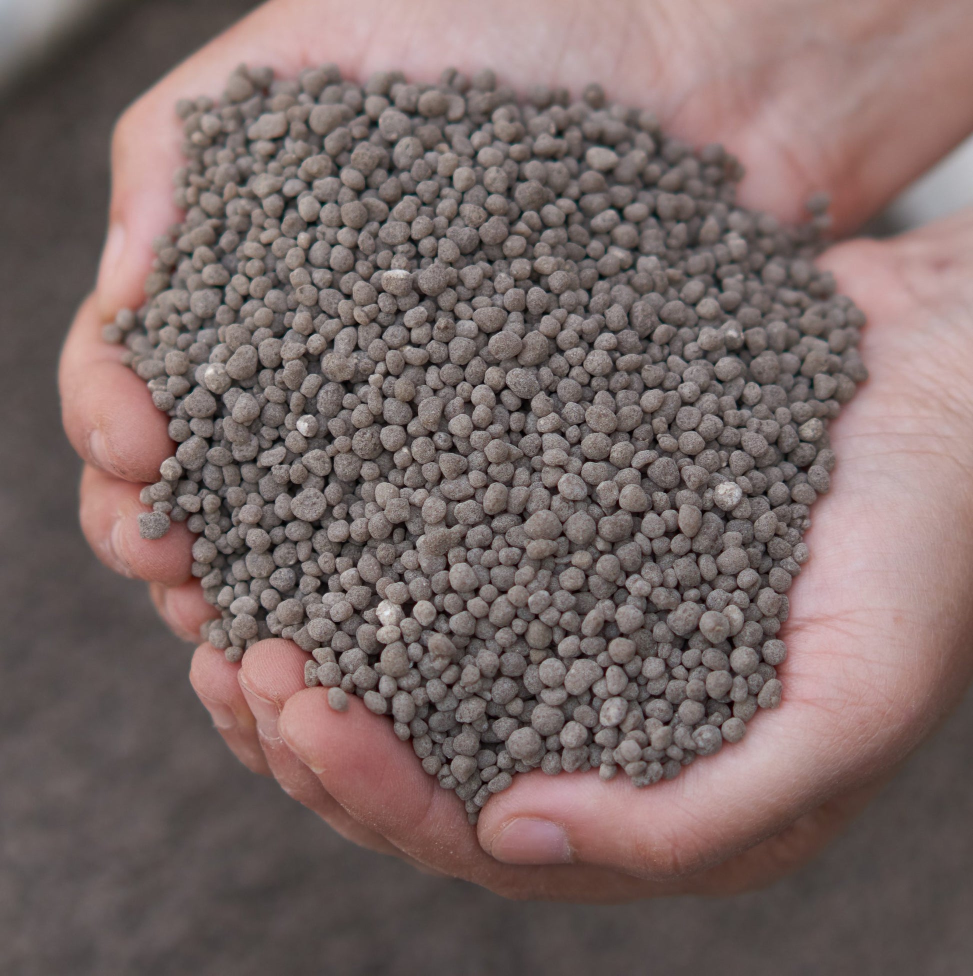 Hands holding a handful of brown granular material, likely fertilizer or soil amendment.