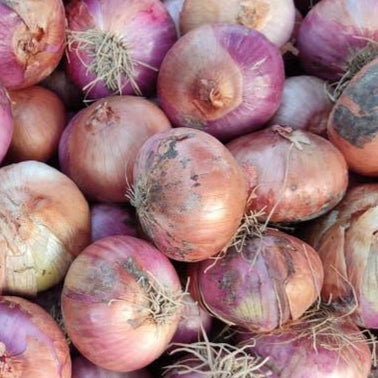 Close-up of a pile of red and purple onions.