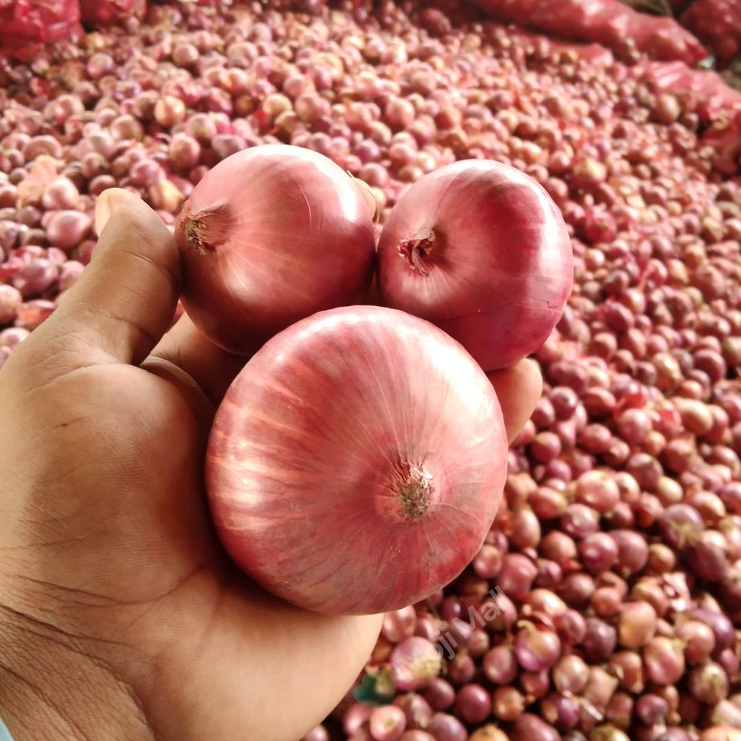 Onion Nasar-puri – 300+ Seeds