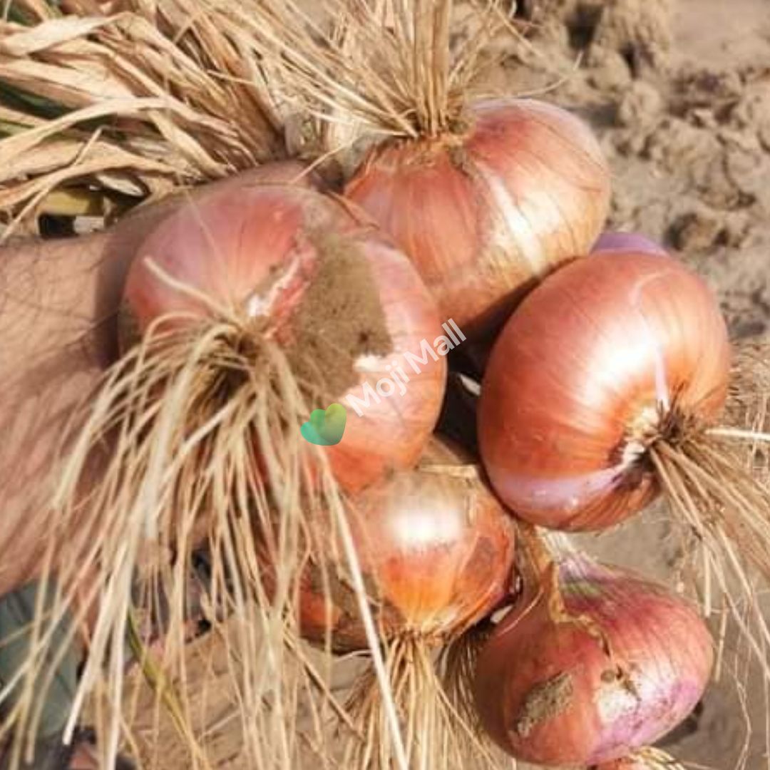 Onion Phulkara – 300+ Seeds