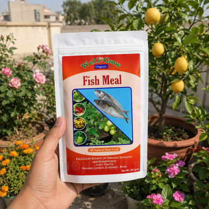 Fish meal – Organic Fertilizer
