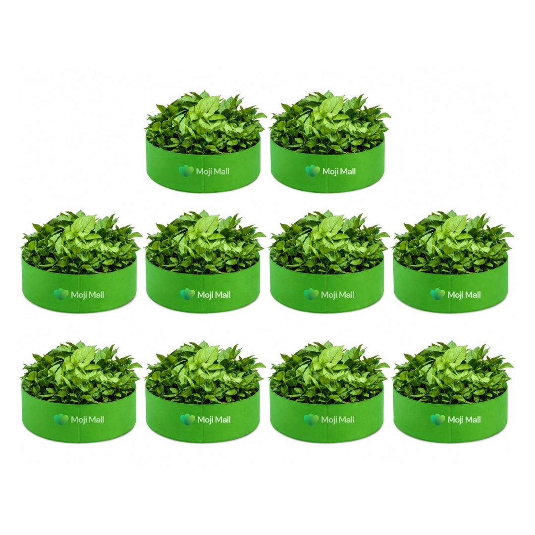 Pack of 10 HDPE Kiyari Grow Bags 12 × 6 Inch