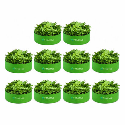 Pack of 10 HDPE Kiyari Grow Bags 12 × 6 Inch