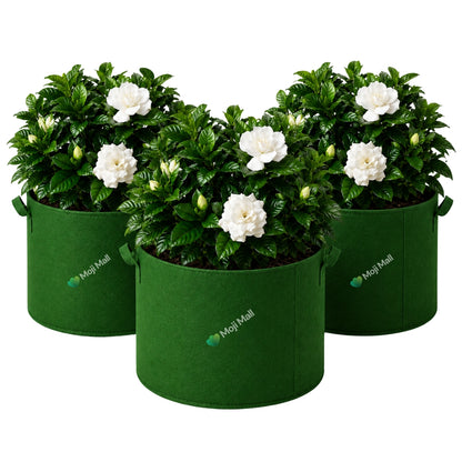 Three green fabric grow bags, each holding a leafy green plant with white flowers, shown on a plain white background. The front bag has the brand name 'MojyMail' printed on it.
