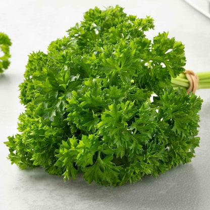 parsley grown from seeds