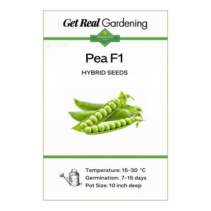 Pea – F1 Hybrid 15+ Seeds