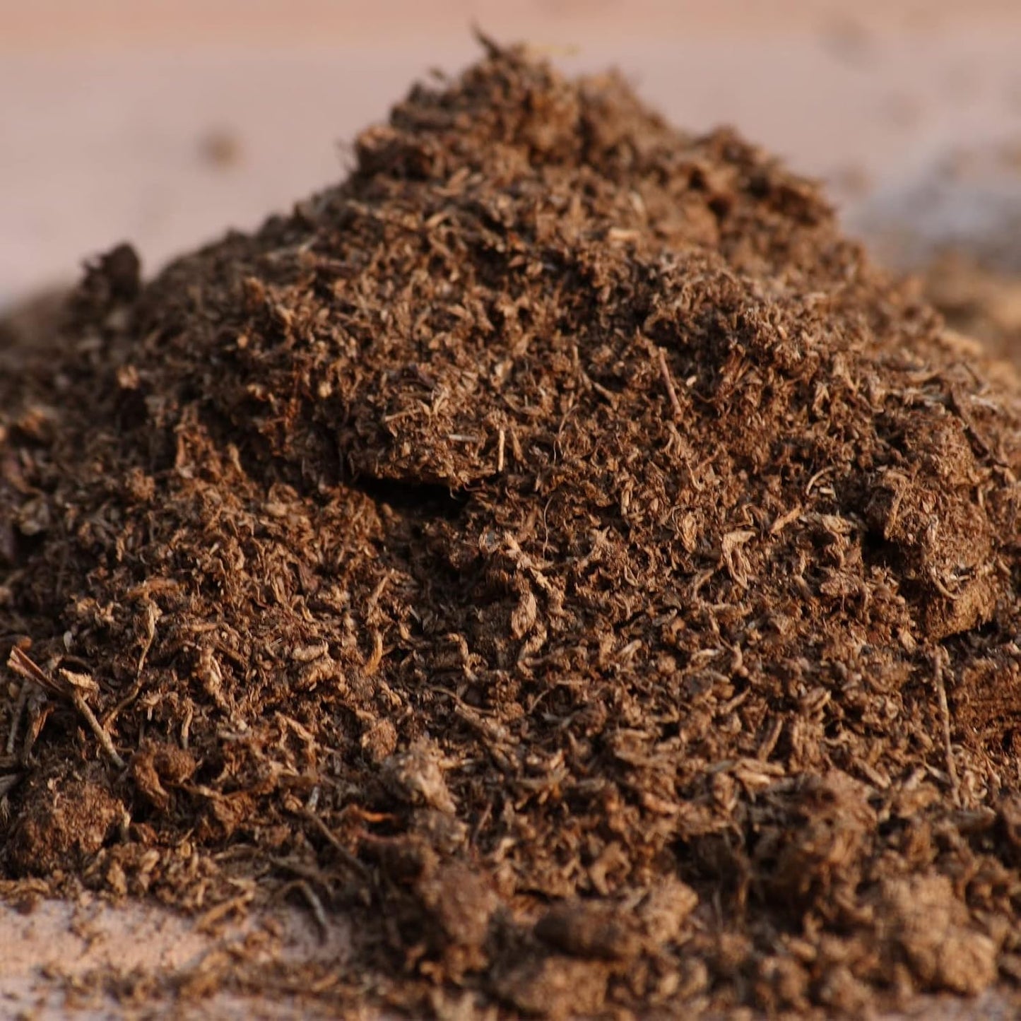 Peat Moss (imported)