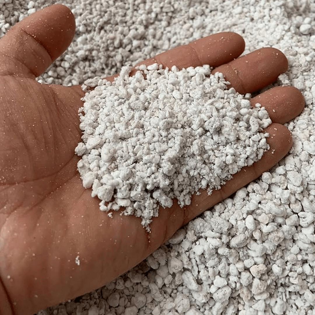 Potting Mixes & Soil