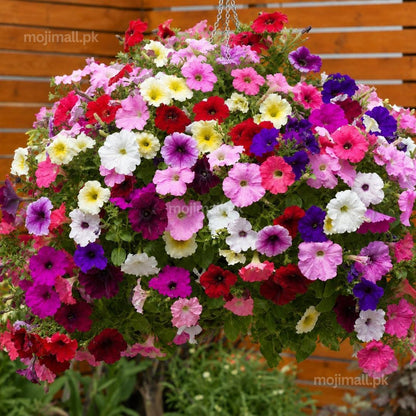 A large hanging basket filled with dense clusters of petunia flowers in multiple colors including pink, red, purple, white, and yellow, set against a wooden fence background.