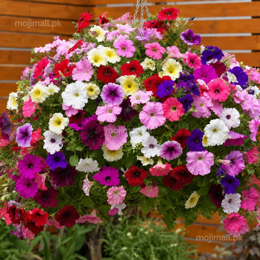 A large hanging basket filled with dense clusters of petunia flowers in multiple colors including pink, red, purple, white, and yellow, set against a wooden fence background.
