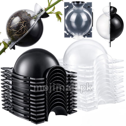 Air Layering Cups – Dual Color