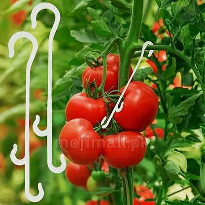 Plant Support Hooks