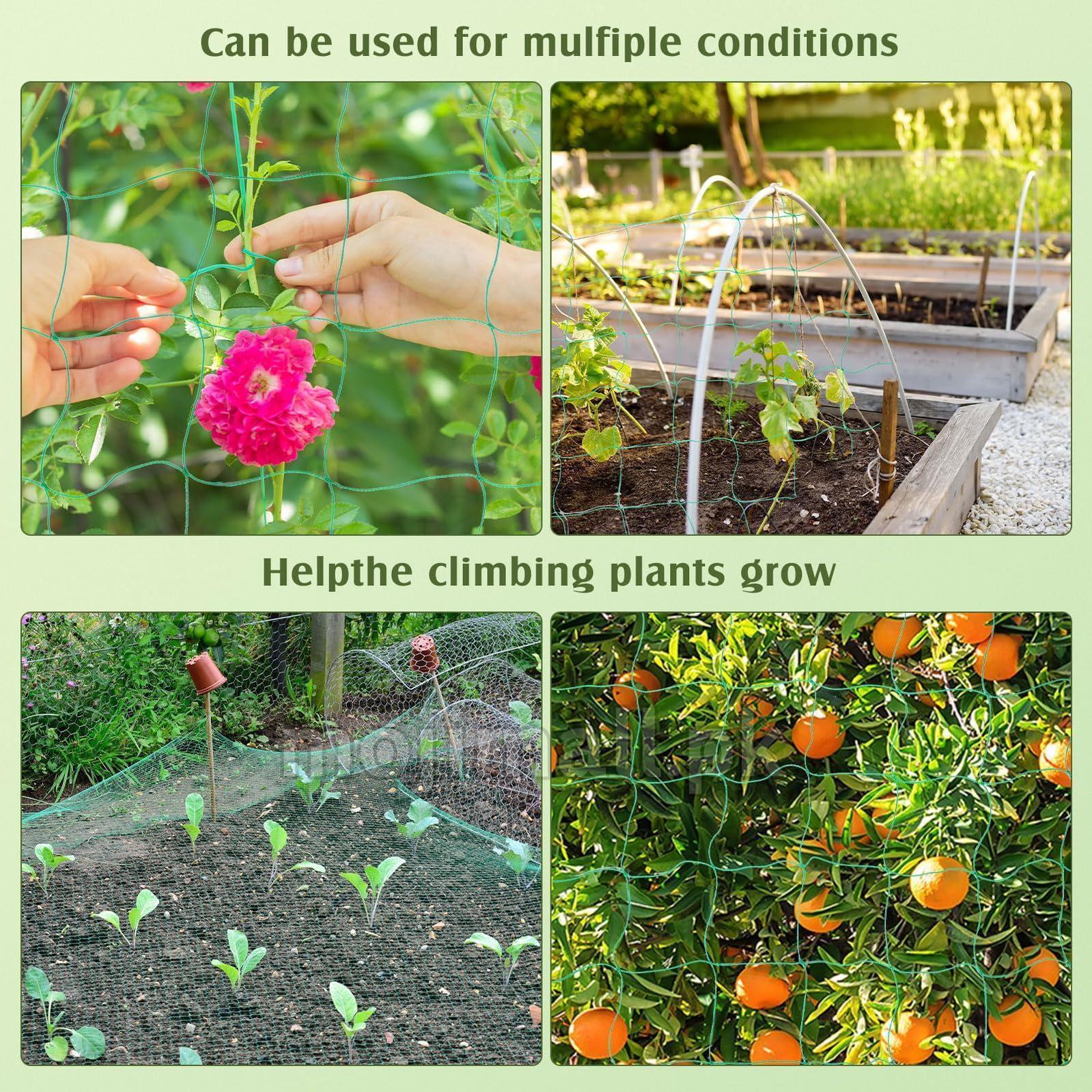 Garden Netsupport Plant Support Net – Support Vines in Balcony & Rooftop – Moji Mall