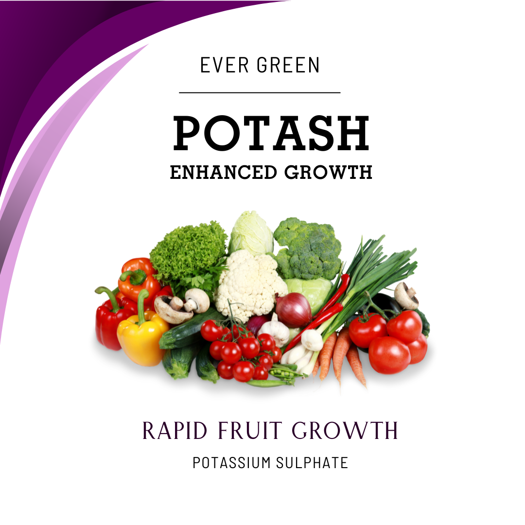 Potash Fertilizer SOP – Boost Flowering and Fruiting in Plants – Moji Mall