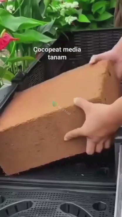 Coco peat Block – 60-70 Liter (imported)