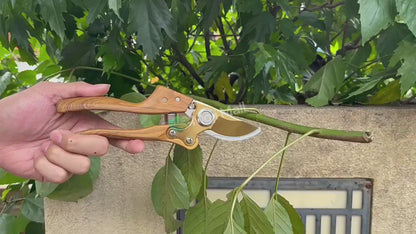Flower Cutter