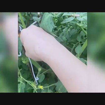 Plant Support Hooks