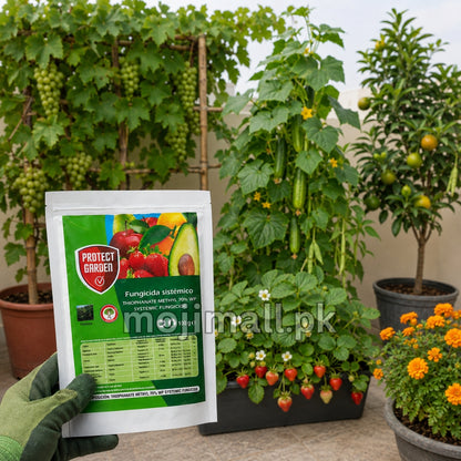 Thiophanate Methyl fungicide for systemic fungal disease control on suitable fruit, vegetable, and garden plants in Pakistan by Moji Mall.