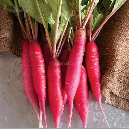 Radish (Red Long) 40+ Seeds-Moji Mall