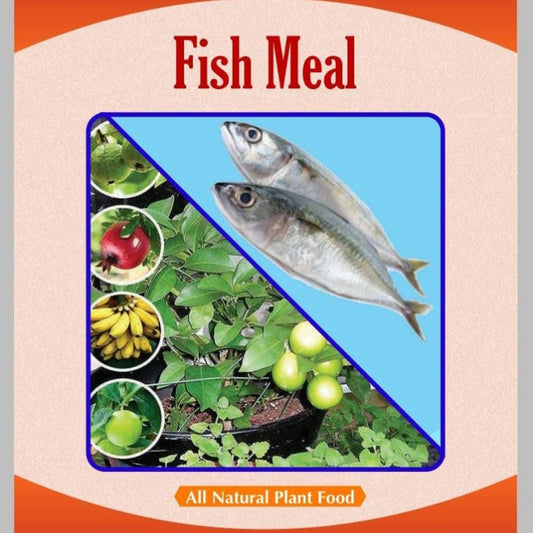 Fish meal - Organic Fertilizer