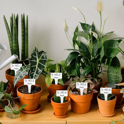 Plant tags