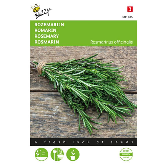 Rosemary – Seeds