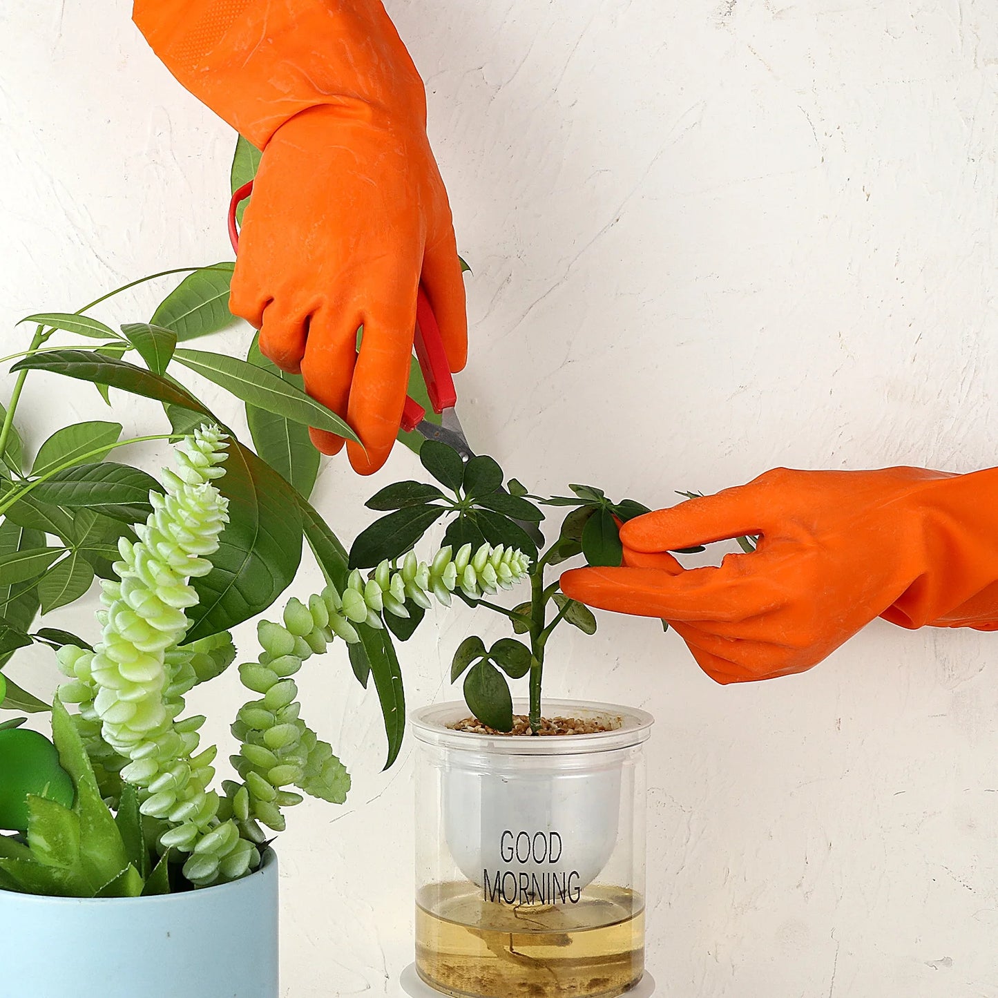 Rubber gloves