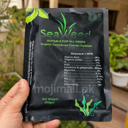 Seaweed Powder – 200g