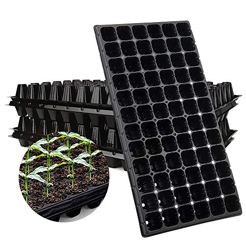 Seedling Tray - 100+ Holes