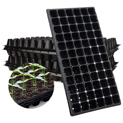 Seedling Tray - 72 Holes