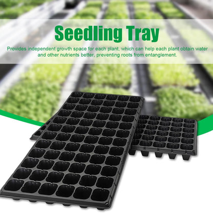 Seedling Tray - 72 Holes