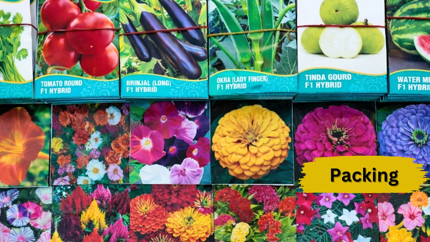 July Seeds