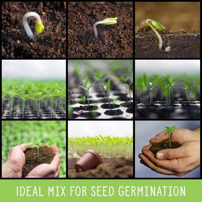 Seed Starter - Mix