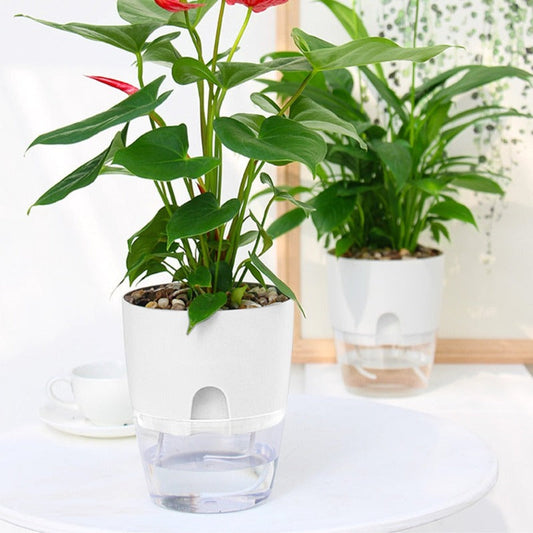 Self Watering Pots – White