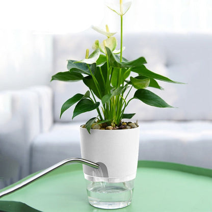 Self Watering Pots – White