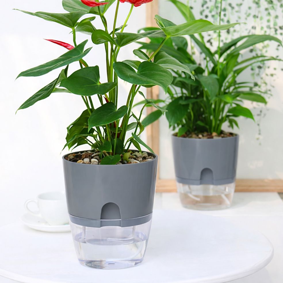 Self Watering Pots – Gray Moji Mall Pakistan