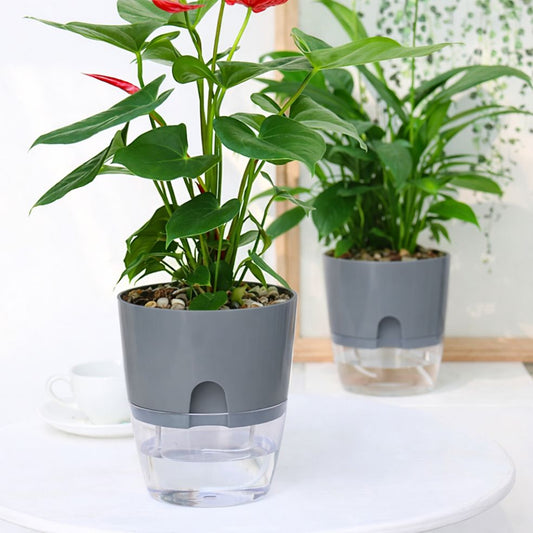 Self Watering Pots – Gray