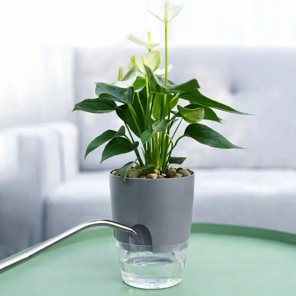 Self Watering Pots – Gray Moji Mall Pakistan